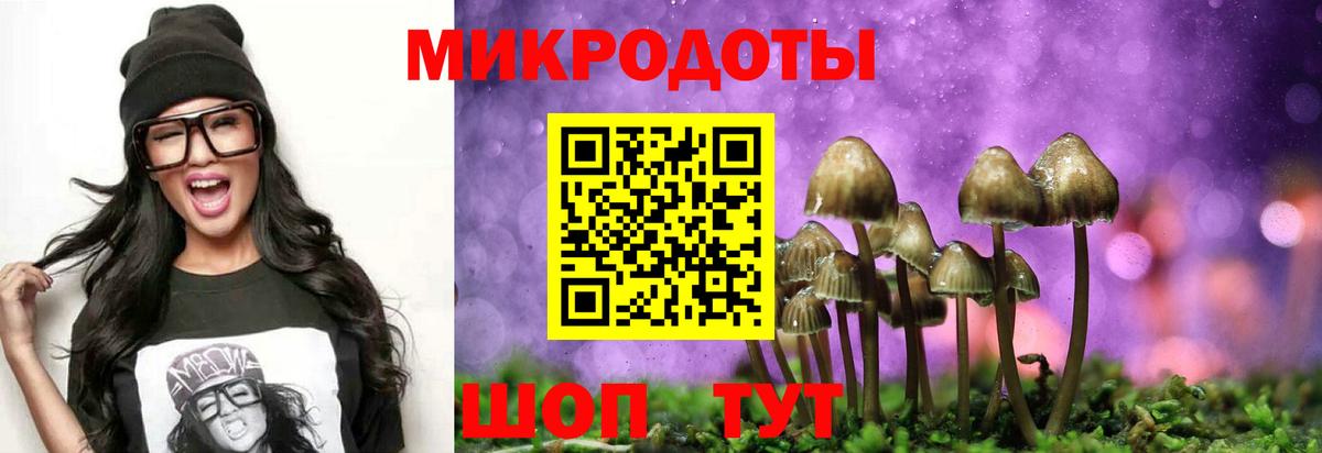 Псилоцибиновые грибы мицелий Фрязино
